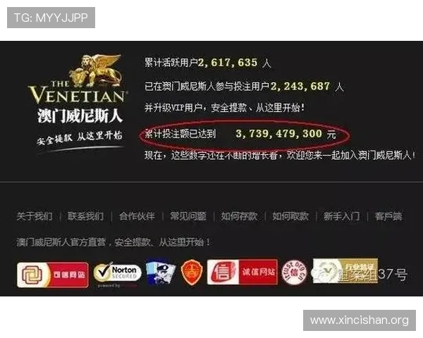 澳门新葡京网站入口多渠道登录方式,满足不同玩家的多样化需求 澳门新葡京网站入口多渠道登录方式,满足不同玩家的多样化需求