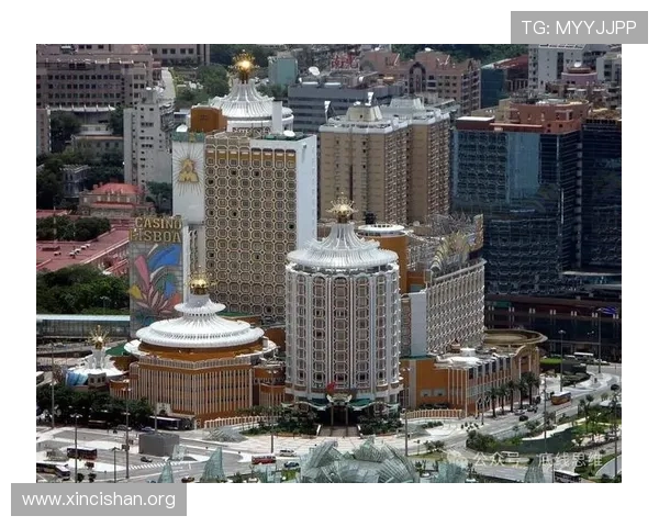 澳门葡京国际站：如何利用其专业的在线平台提升您的博彩体验